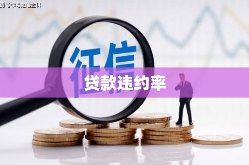 临桂贷款违约率