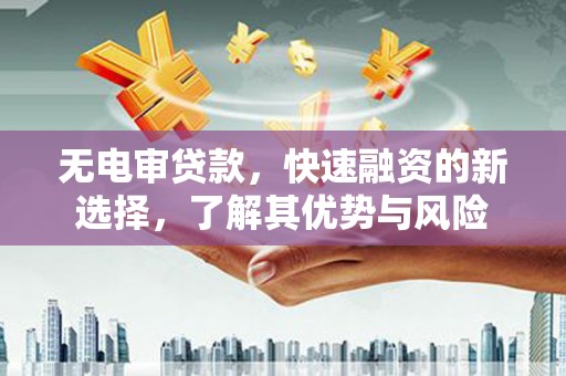 崇左无电审贷款，快速融资的新选择，了解其优势与风险