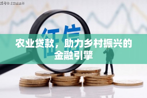 云龙农业贷款，助力乡村振兴的金融引擎