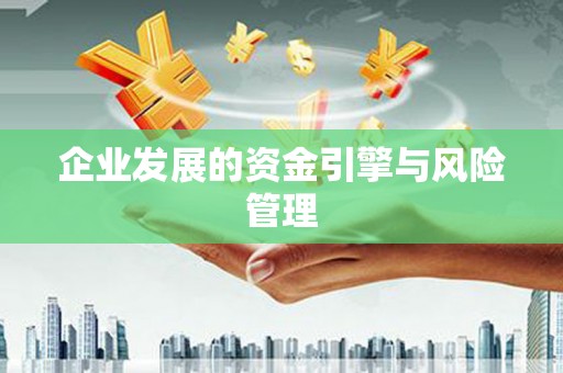 奎文企业发展的资金引擎与风险管理