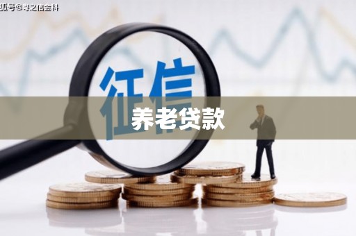 稷山养老贷款
