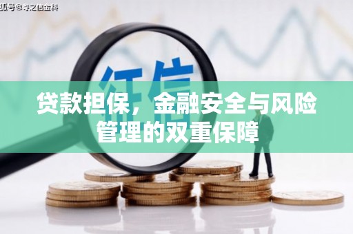 镇雄贷款担保，金融安全与风险管理的双重保障