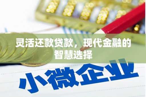 灵宝灵活还款贷款，现代金融的智慧选择