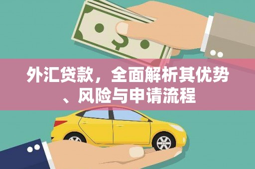 独山子外汇贷款，全面解析其优势、风险与申请流程