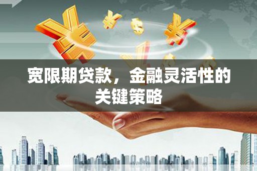 镜湖宽限期贷款，金融灵活性的关键策略