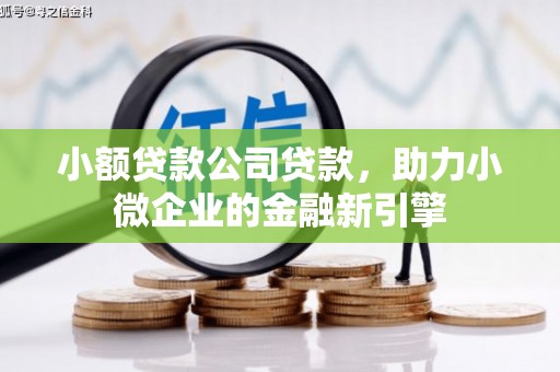 石屏小额贷款公司贷款，助力小微企业的金融新引擎