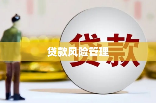 察雅贷款风险管理