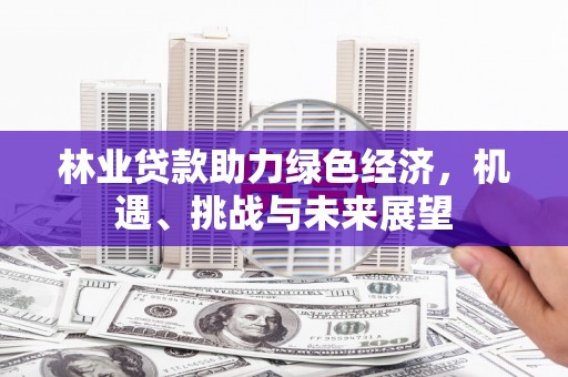 徽州林业贷款助力绿色经济，机遇、挑战与未来展望