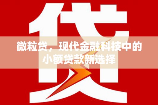 暖暖微粒贷，现代金融科技中的小额贷款新选择