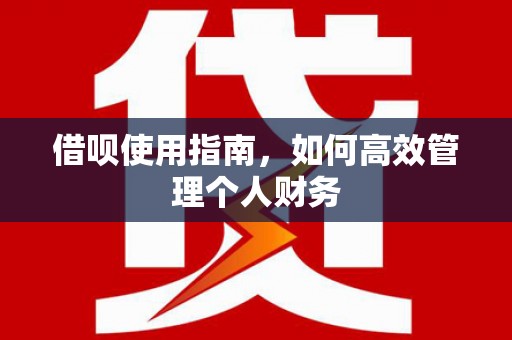 延平借呗使用指南，如何高效管理个人财务