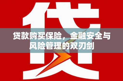 新泰贷款购买保险，金融安全与风险管理的双刃剑