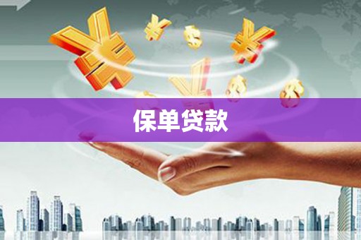 阜阳保单贷款