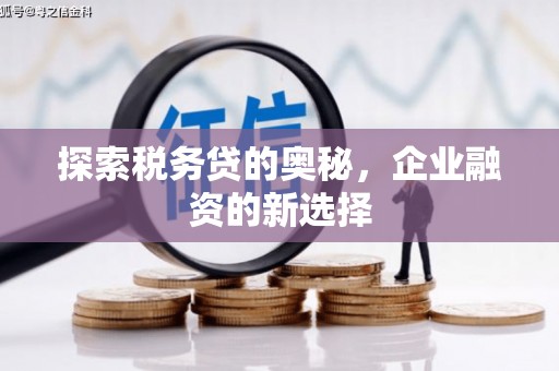 郁南探索税务贷的奥秘，企业融资的新选择