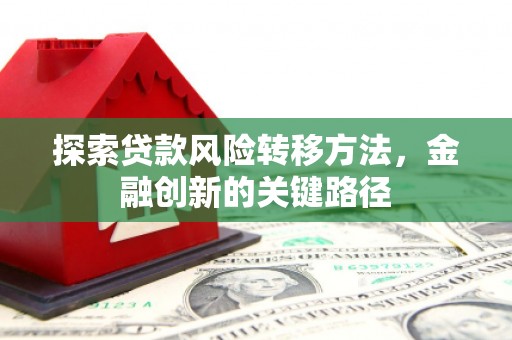 临翔探索贷款风险转移方法，金融创新的关键路径