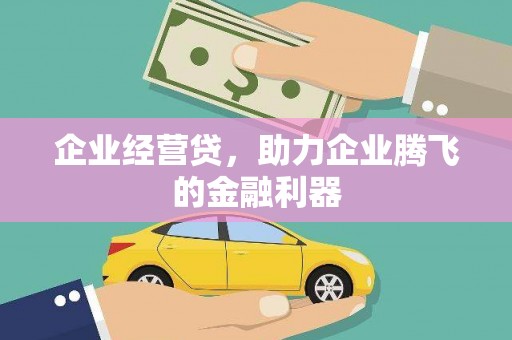 丰滨企业经营贷，助力企业腾飞的金融利器