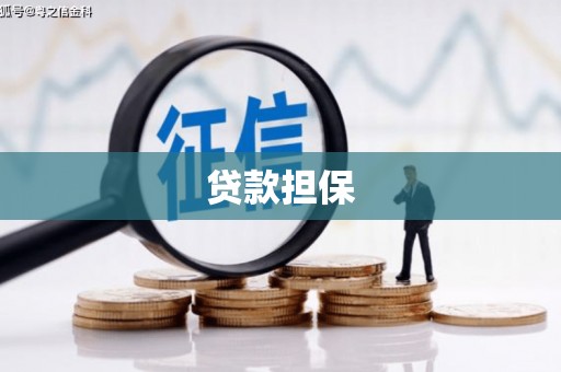 虾峙贷款担保