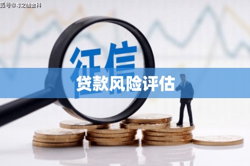 汤原贷款风险评估