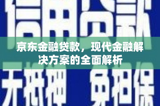 民和京东金融贷款，现代金融解决方案的全面解析