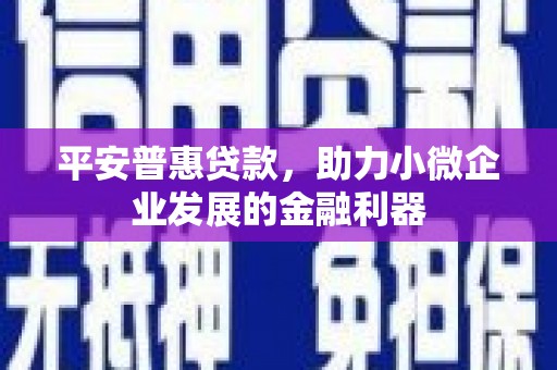 林甸平安普惠贷款，助力小微企业发展的金融利器