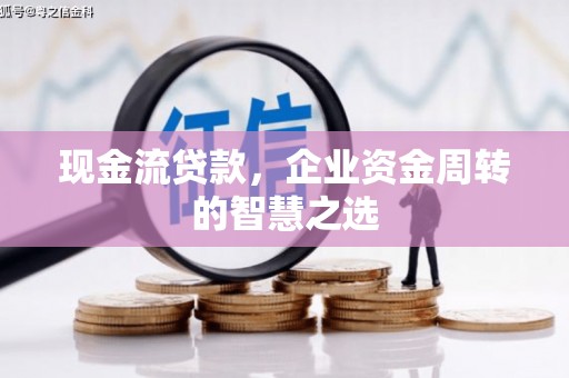 麦寮现金流贷款，企业资金周转的智慧之选