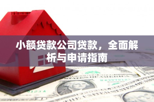 那曲小额贷款公司贷款，全面解析与申请指南