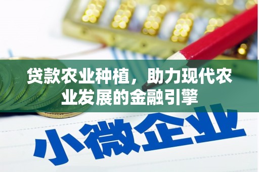 湖西贷款农业种植，助力现代农业发展的金融引擎