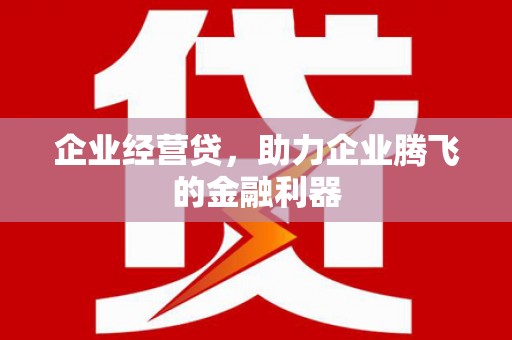板桥企业经营贷，助力企业腾飞的金融利器