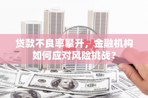 齐齐哈尔贷款不良率攀升，金融机构如何应对风险挑战？