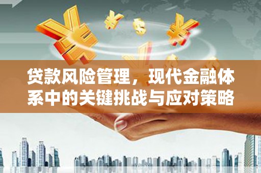 红星贷款风险管理，现代金融体系中的关键挑战与应对策略