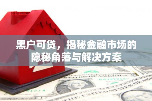 海东黑户可贷，揭秘金融市场的隐秘角落与解决方案