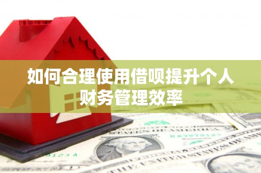 成县如何合理使用借呗提升个人财务管理效率