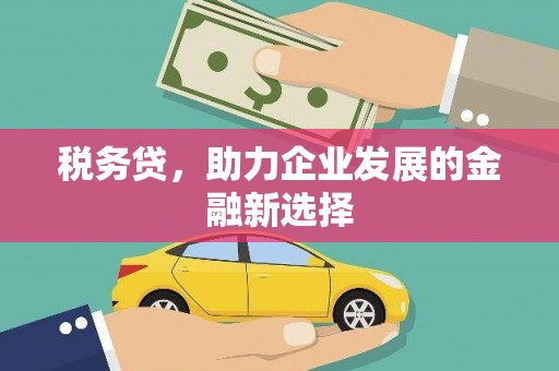 安南税务贷，助力企业发展的金融新选择