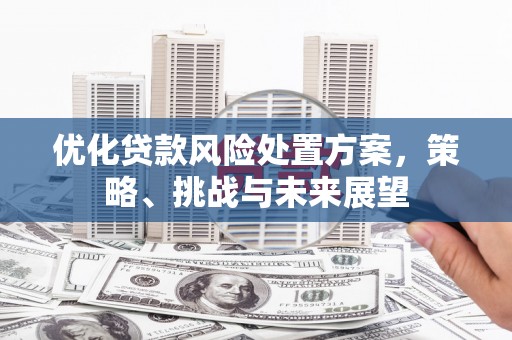 扶绥优化贷款风险处置方案，策略、挑战与未来展望