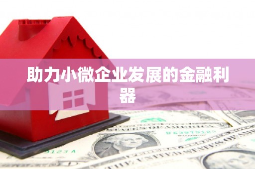 新县助力小微企业发展的金融利器