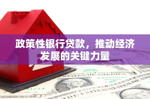 黔西政策性银行贷款，推动经济发展的关键力量