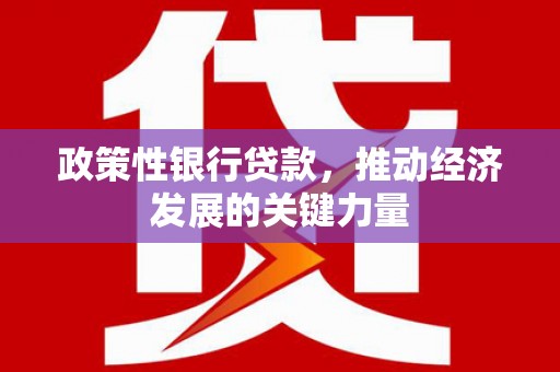 武平政策性银行贷款，推动经济发展的关键力量