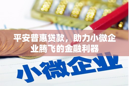 黟县平安普惠贷款，助力小微企业腾飞的金融利器