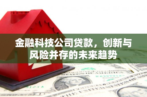 北投金融科技公司贷款，创新与风险并存的未来趋势