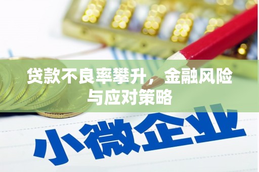 舞阳贷款不良率攀升，金融风险与应对策略