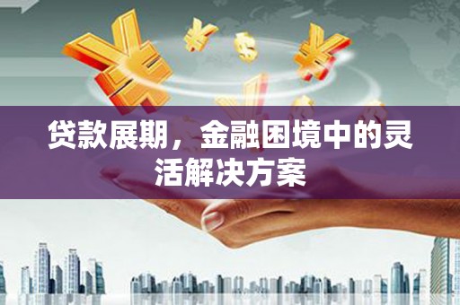 武鸣贷款展期，金融困境中的灵活解决方案
