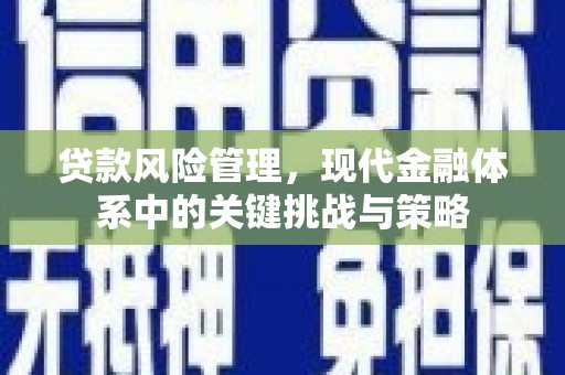 肃北贷款风险管理，现代金融体系中的关键挑战与策略