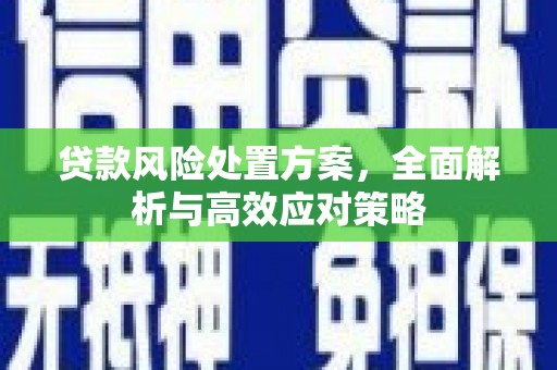 西华贷款风险处置方案，全面解析与高效应对策略