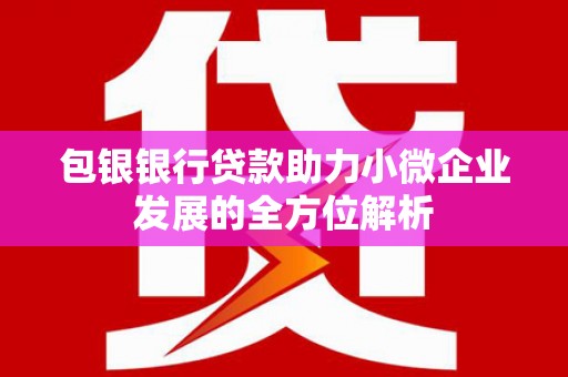 玉树包银银行贷款助力小微企业发展的全方位解析