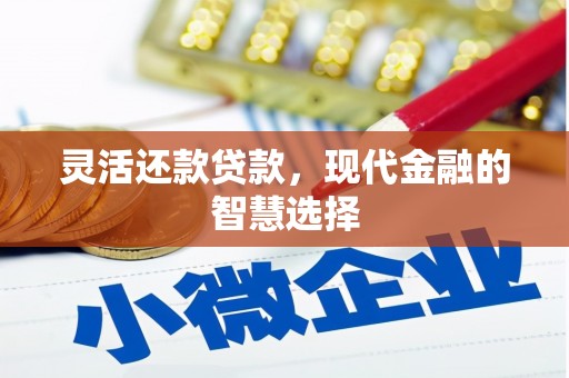 汇川灵活还款贷款，现代金融的智慧选择
