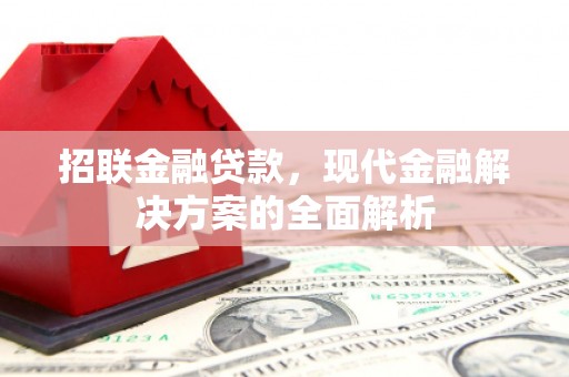 浑南招联金融贷款，现代金融解决方案的全面解析