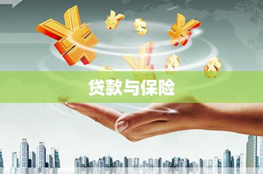 水林贷款与保险