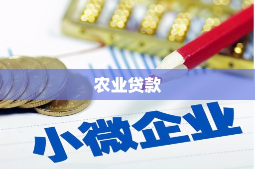 石河子农业贷款