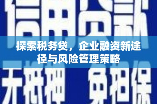 姑苏探索税务贷，企业融资新途径与风险管理策略
