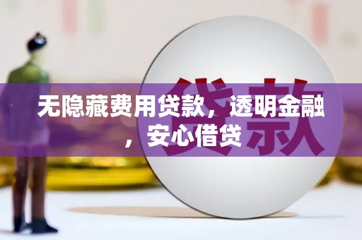 东源无隐藏费用贷款，透明金融，安心借贷