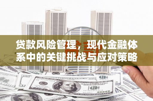 和林格尔贷款风险管理，现代金融体系中的关键挑战与应对策略